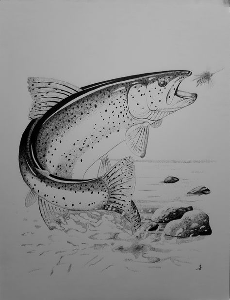 Trout Drawing Sketch, Fly Fishing Art Drawing, Fishing Drawings, Trout Drawing, Flyfishing Art, Fishing Drawing, Hunting Fishing Tattoo, Trout Tattoo, Fly Fishing Tattoo