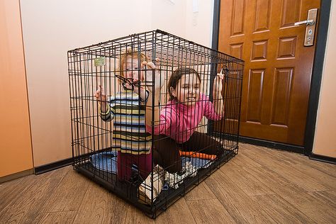 Kids play in a dog's cage :-)     http://soloha.vn/tham-trai-san-trung-quoc-sa/tham-trai-san-trung-quoc-sa-ma-zl912.html Dog Cage, Dog Cages, Kids Play, Cute Photos, Big Kids, Kids Playing, A Dog, Favorite Things, Home Appliances