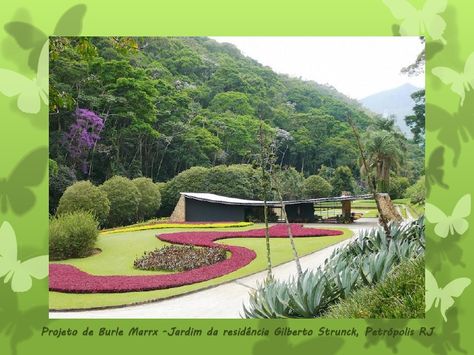 Projeto de Burle Marrx -Jardim da residência Gilberto Strunck, Petrópolis RJ Burle Marx, Desain Lanskap, Garden Solutions, Oscar Niemeyer, Cool Landscapes, Modern Landscaping, Tropical Garden, Landscape Architect, Urban Landscape