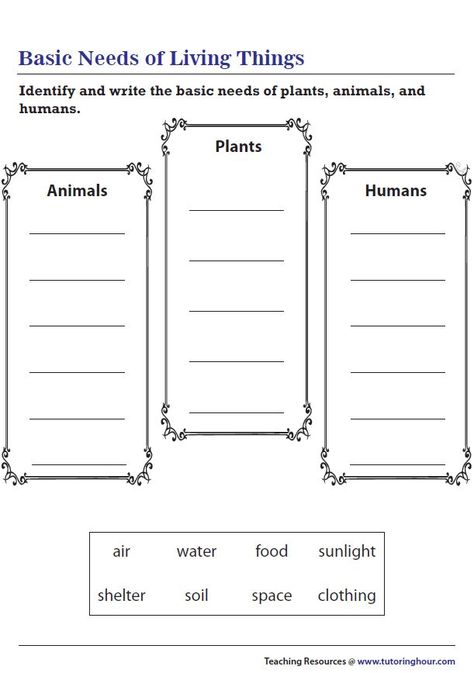 Basic Needs of Living Things Living And Non Living Things Lesson Plan, Living Non Living Worksheet, Living And Non Living Things Activities For Preschool Worksheets, Living Non Living Things Worksheet, Basic Needs Of Living Things, Living Things And Non Living Things Worksheet For Grade 1, Toki Pona, 6th Grade Worksheets, Basic Necessities