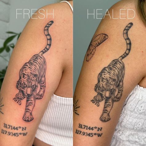 Healed Tattoos Vs Fresh, Martinez Tattoo, Come Back To Me, Fresh Tattoo, Healing Tattoo, So Thankful, Tattoo Artist, So Happy, Come Back