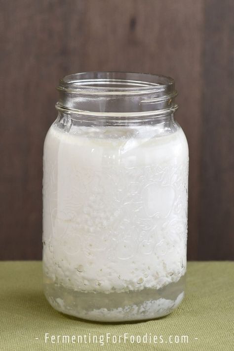 What to Do About Over Cultured and Separating Milk Kefir - Fermenting for Foodies Vegan Kefir Recipe, Kefir Milk Recipes, Kefir Cottage Cheese, Water Kefir Soda, Kefir Dessert, Milk Kefir Recipes, Milk Kefir Grains, Starter Cultures, Kefir Recipes