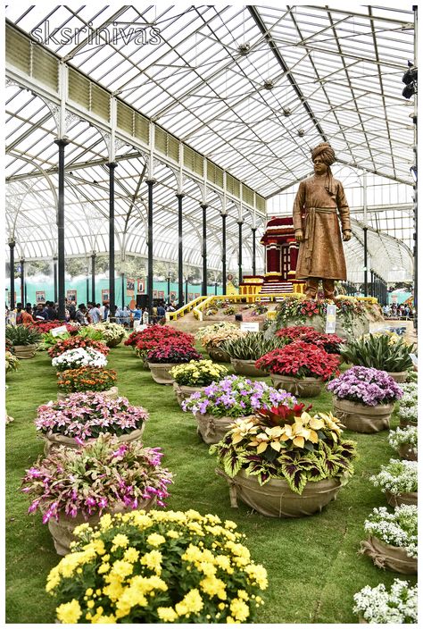 Every year, two flower shows are organised at Lalbagh botanical gardens, in Bangalore. This time, the flower show is dedicated to Swami Vivekananda. Lalbagh Botanical Garden Bangalore, Lalbagh Botanical Garden, Famous Gardens, Swami Vivekananda, Republic Day, Flower Show, Botanical Garden, Bangalore, Botanical Gardens