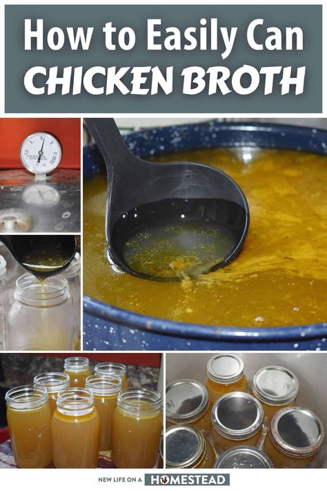 Learn how to can chicken stock or broth with this step-by-step tutorial. #canning #chickenbroth #homesteading Canning Chicken Broth, Water Canning, Can Chicken Broth, Garden Canning, Canning Chicken, Canning Meat, Homestead Recipes, Freezing Fruit, Pressure Canning Recipes