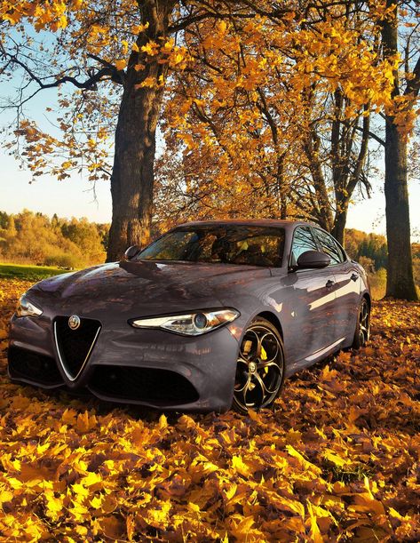 Alfa Romeo Giulia autumn in Lithuania Alfa Romeo Giulia Wallpaper, Alpha Romeo Giulia, Alfa Cars, Alfa Romeo Giulia Quadrifoglio, Alfa Giulia, Birthday Boho, Alfa Romeo Stelvio, Alfa Romeo 159, Luxury Garage