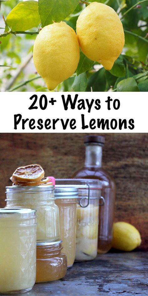 Canning Lemons, Preserve Lemons, Fruit Plus, Canning Fruit, Home Canning Recipes, Canning Food Preservation, Canned Food Storage, Canning Tips, Water Bath Canning