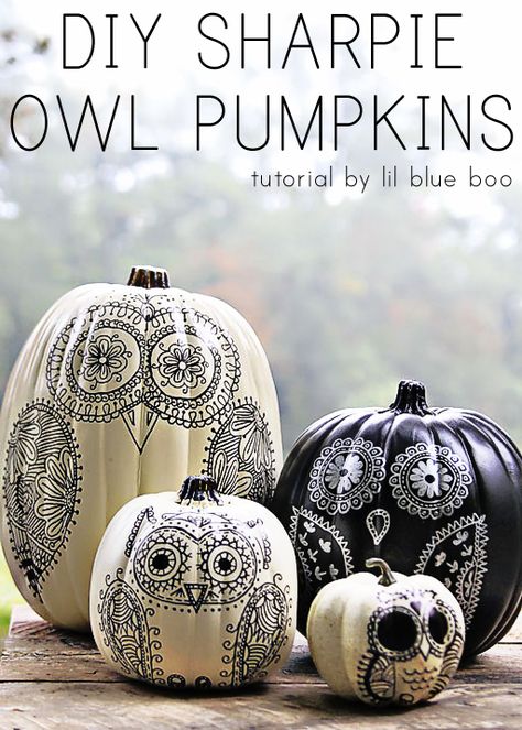 50 No-Carve Pumpkin Decorating Ideas Owl Pumpkin, Diy Sharpie, Halloween Jack, Halloween Make, Fall Holidays, Painted Pumpkins, Samhain, Pumpkin Decorating, Diy Halloween