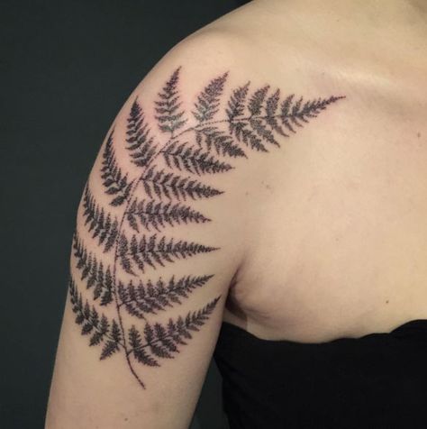 Love the dotwork but not sure how well this effect would work on a scalp with my dark hair - might be too light? Leaf Tattoo Meaning, Fern Leaf Tattoo, Lace Butterfly Tattoo, Fern Tattoo, Leaf Tattoo, Bone Tattoos, Mens Shoulder Tattoo, Samoan Tattoo, Vine Tattoos