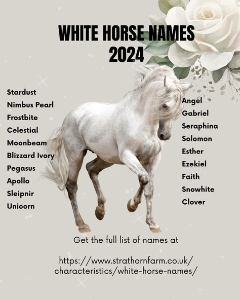 Name your white horse! Check our blog for more ideas #whitehorse Cute Horse Names, Names For Horses, Female Horse Names, Horse Name Ideas, Best Horse Names, Sims Names, Disney Horses, Female Horse, Fire Icons