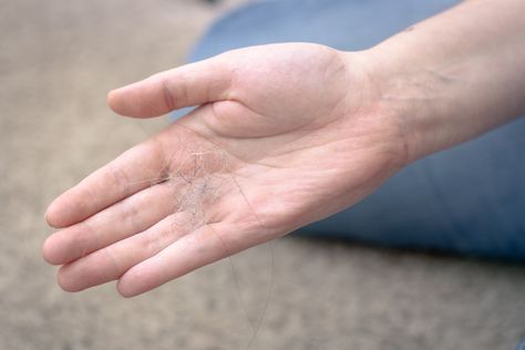 Removing Hair From Carpet | eHow.com Hand Exercises, Remove Hair, Lint Brush, Tangled Hair, Cat Stuff, How To Clean Carpet, Dog Hair, Pet Hair, Fine Hair