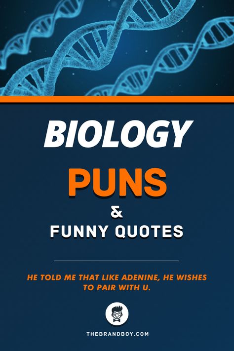 Biologist Quotes Biology Jokes, Biology Quotes Funny, Bio Jokes, Biology Quotes, Biology Puns, I Love You Puns, Biology Quote, Teacher Puns, Biology Jokes