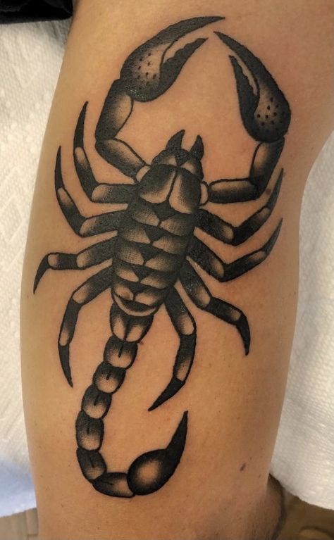 Scorpio Cover Up Tattoos, Scorpio Tattoo Traditional, Neotraditional Scorpion, Scorpion Tattoo Design Men, Old School Scorpion Tattoo, Bengal Tattoo, American Traditional Scorpion Tattoo, Traditional Scorpion Tattoo, Clock And Rose Tattoo