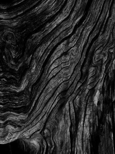 c h a r c o a l White Wood Texture, Garden Wood, Black Basalt, Wood Texture Background, Texture Inspiration, Pattern Texture, Black Textures, Surface Textures, Wood Texture