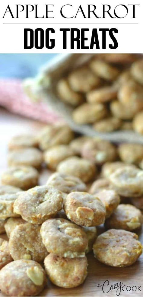 These homemade dog treats are an easy baking project for kids and adults and make a great homemade gift idea! They're made with apples and carrots, and dogs love to eat them up! #dogtreats #kids #baking #gifts #banana #peanutbutter Carrot Dog Treats, Homemade Dog Cookies, Homemade Gift Idea, Carrot Dogs, Dog Treats Homemade Easy, Easy Dog Treat Recipes, Dog Biscuit Recipes, Kids Baking, Easy Dog Treats