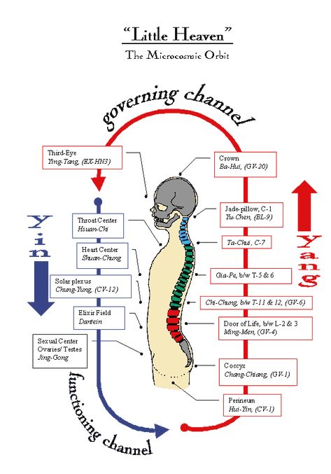 Microcosmic Orbit #taoism #qigong Microcosmic Orbit, Tai Chi Movements, Medical Qigong, Polarity Therapy, Qigong Meditation, Chi Gong, Qigong Exercises, Chi Energy, Tai Chi Qigong