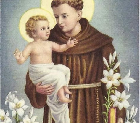 Saint Antonio, Litany Of The Saints, Susi Rejano, St Padre Pio, Saint Anthony Of Padua, Illustrated Manuscript, Catholic Pictures, Catholic Images, St Anthony