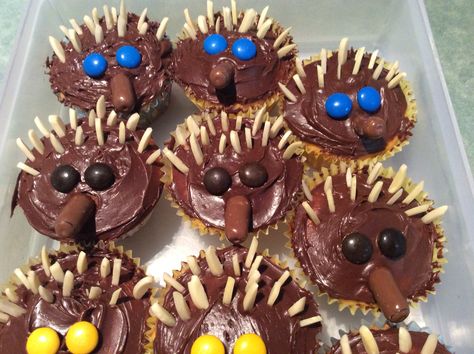 Echidnas Arrowroot Biscuits, Australian Party, Chocolate Bowls, Kids Lunch Recipes, Aussie Food, 5th Birthday Cake, Animal Cupcakes, Camping Birthday Party, Australian Food