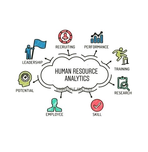 HR Analytics/ People Analytics on Instagram: “HR analytics has application in every function. #Peopleanalytics #datadrivenhr #datavisualization” People Analytics, Hr Analytics, Leadership Training, Hr Management, Data Analytics, Marketing Jobs, Data Visualization, Human Resources, Godmother