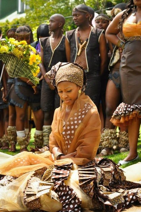 Tswana, South Afrika Traditional Wedding South Africa, Tswana Traditional Wedding, Tswana Traditional Wedding Dresses, South African Wedding Dress, Zulu Wedding, Chobe National Park, African Weddings, South African Weddings, African Bride