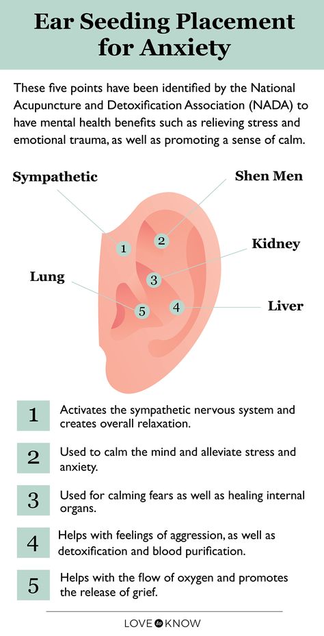 Ear Seed Placement, Ear Acupressure Points, Ear Acupressure, Ear Reflexology, Ear Acupuncture, Ear Seeds, Pressure Point Therapy, Self Help Skills, Healing Room