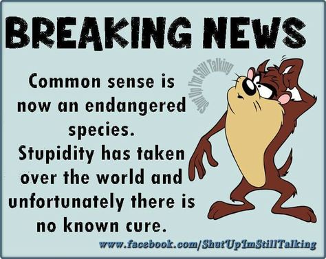 . Stupidity Quotes Funny Sarcasm, Signs And Sayings, Tazmanian Devil, Funny Quotes Sarcasm, Marriage Proposal, Funny Cartoon Quotes, Cartoon Quotes, Sarcastic Quotes Funny, Badass Quotes