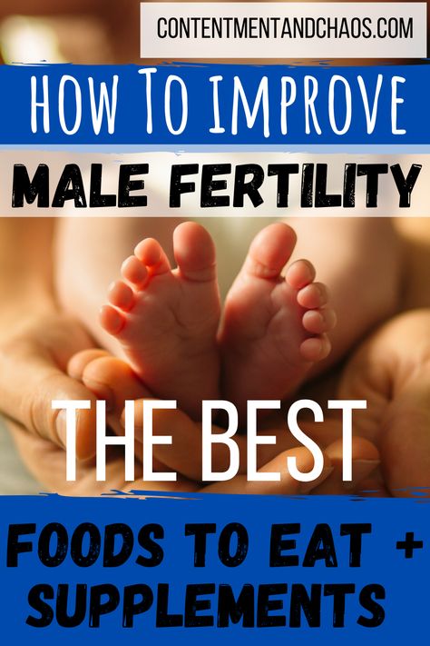 Ttc Supplements, Male Fertility Foods, Fertility Vitamins, Help Getting Pregnant, How To Increase Fertility, Sperm Health, Prostate Health Men, Chances Of Pregnancy, Fertility Supplements