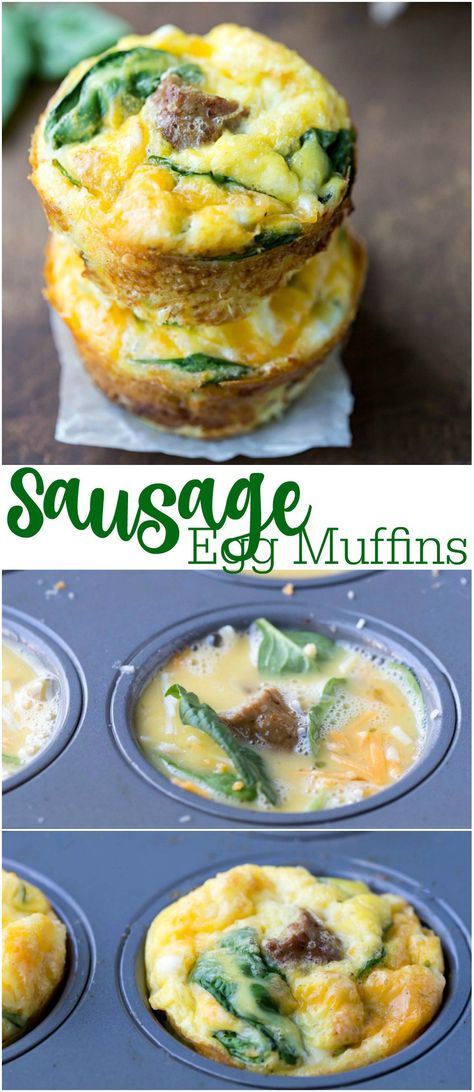 Sausage Egg Cheese Spinach Muffins, Breakfast Muffins Egg Sausage, Egg Sausage Muffins, Egg And Sausage Muffins, Sausage Egg And Cheese Muffins, Sausage And Egg Muffins, Sausage Egg Cheese Muffins, Sausage Cheese Muffins, Cottage Cheese Muffins