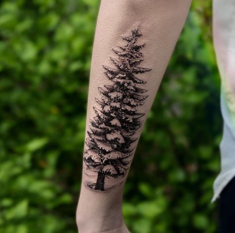 Snowy Pine Tree by Turan at BangBang, NYC Evergreen Tattoo, Maquillaje Smokey Eyes, Evergreen Tree Tattoo, Winter Tattoo, Pine Tattoo, Snow Tattoo, Cool Back Tattoos, Latest Tattoo Design, Black Art Tattoo