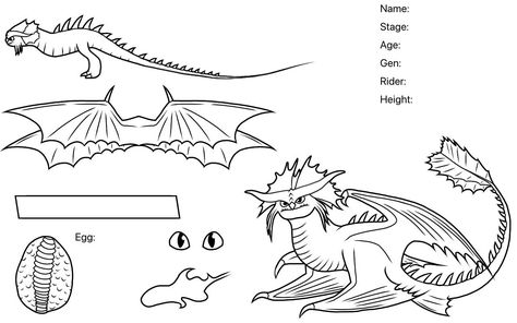 Dragon Line, Paw Drawing, Dragon Base, Types Of Dragons, Httyd Art, Dragon Sketch, Httyd Dragons, Body Base Drawing, Oc Base