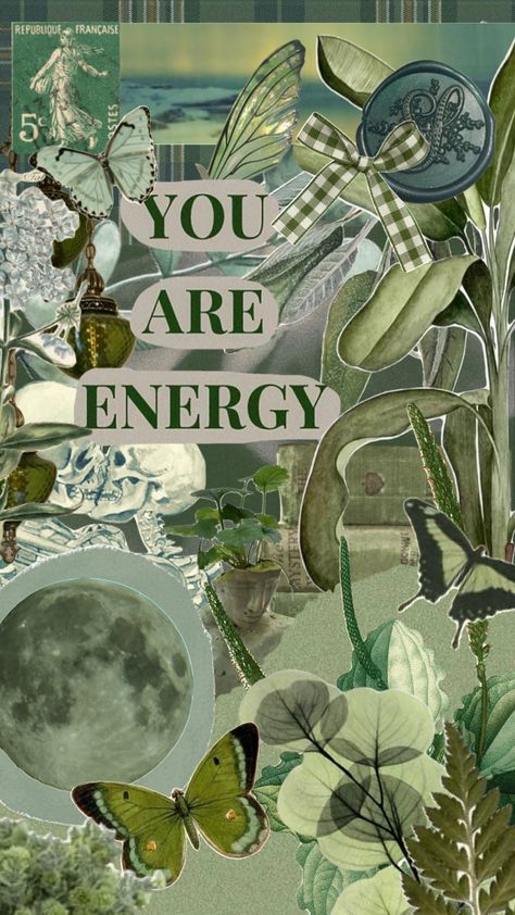 Green Collage, Green Inspo, Energy Aesthetic, Aesthetic Plants, Album Art Design, Simple Poster, Green Paintings, Gold Aesthetic, Plant Aesthetic