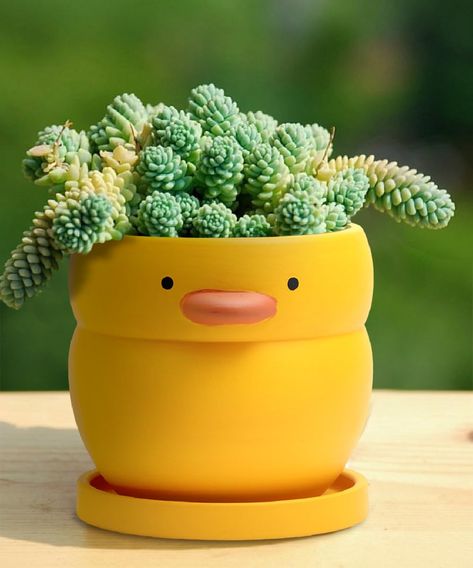 PRICES MAY VARY. This duck plant pot is made of pottery clay fired at a high temperature of 1000℃. It has strong water absorption, breathability, and moisture retention, making it very suitable for plant growth. Adorable duck figurines, with artificial color spraying, excellent handicraft. It will be a unique gift and funny desktop decoration for home and office. This duck planter is of moderate size and is also suitable as a desk organizer for accessories stuff such as pencils, pen, brushes, cl Yellow Plant Pot, Funny Plant Pots, Cute Pen Holder, Duck Figurines, Duck Planter, Ceramic Succulent Pots, Pottery Plant Pot, Pottery Pots, Yellow Plants