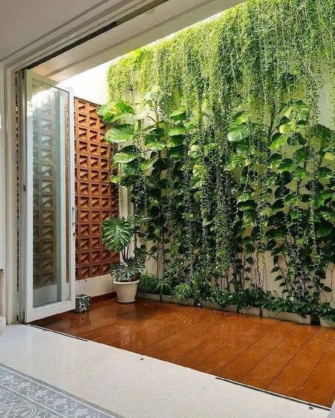 Vertikal Garden, Indoor Courtyard, Indoor Plant Wall, Vertical Garden Indoor, Vertical Garden Design, Decoration Shabby, Courtyard Design, Hanging Plants Indoor, Walled Garden