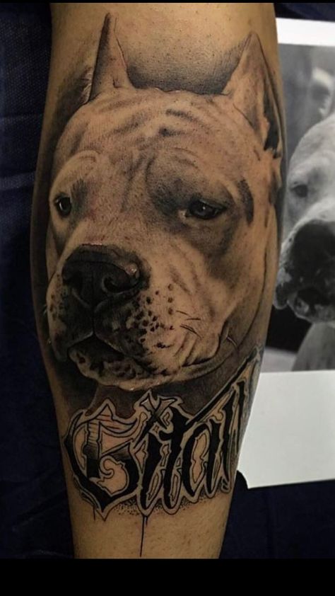 Dogo Argentino Tattoo, Pitbulls Tattoo, Egyptian Eye Tattoos, Body Wave Perm, Eye Tattoos, Hairstyle App, Egyptian Eye, Ombre Hair Blonde, Side Hairstyles