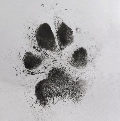 Symbole Tattoo, Tattoo 2023, Tattoo 2024, Dog Print Tattoo, Brush Tattoo, Dog Memorial Tattoos, Pawprint Tattoo, Dog Paw Tattoo, Wicked Tattoos