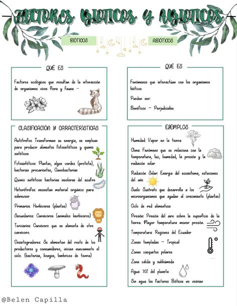 Factores Bioticos y Abioticos South Park, Ecology, Biology, Homework, Education