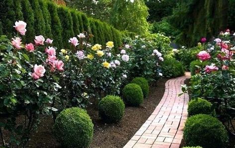 40 Amazing Rose Garden Ideas For Your Backyard | Decor Home Ideas Side Path, Rose Garden Landscape, Country Garden Design, Formal Garden Design, Rose Garden Design, Rose Gardens, Cottage Rose, Roses Garden, Garden Design Ideas