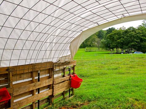 Slip pallets over t-posts that have been pounded into the ground. And attach the pallets together using bolts or screws. Outdoor Preschool, Livestock Shelter, Goat Pen, Pallet Barn, Cattle Panels, Horse Shelter, Pallet Shed, Goat Barn, Run In Shed