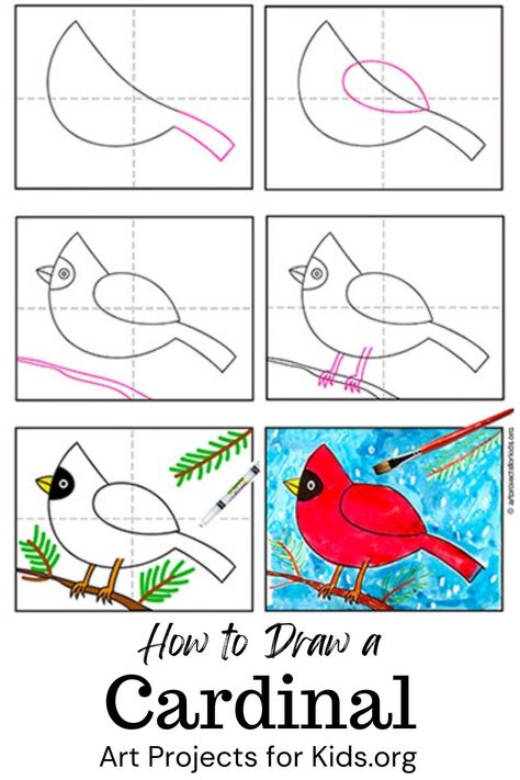 Learn how to draw a Cardinal with an easy step-by-step PDF tutorial. #howtodraw #tutorial #drawing #drawingtutorial #arttutorial #artprojectsforkids #howtodrawforkids #cardinal #cardinaldrawing Cardinal Drawings Easy, Cardinal Drawing Simple, Bird Directed Drawing For Kids, Winter Cardinal Art Project For Kids, Paint Cardinal Tutorial, Cardinal Drawing, Drawing Classes For Kids, Cardinal Painting, Art Fundraiser