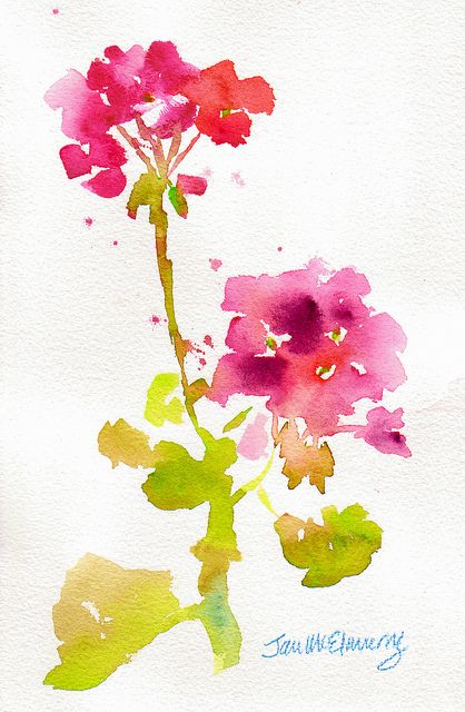 geranium stem by Jans Art, via Flickr 강아지 그림, Watercolor Pictures, Watercolour Inspiration, Loose Watercolor, Watercolor Flower Art, Watercolor Painting Techniques, Watercolor Flowers Paintings, Watercolor Inspiration, Watercolor Techniques