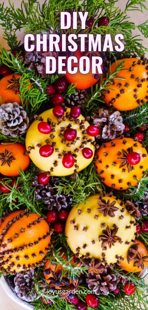 Christmas Decorations Ideas Diy, Christmas Decorations Homemade, Christmas Decorations Natural, Pomander Centerpiece, Christmas Oranges, Themed Christmas Decorations, Natural Christmas Decorations, Eco Friendly Christmas Decorations, Orange Pomanders