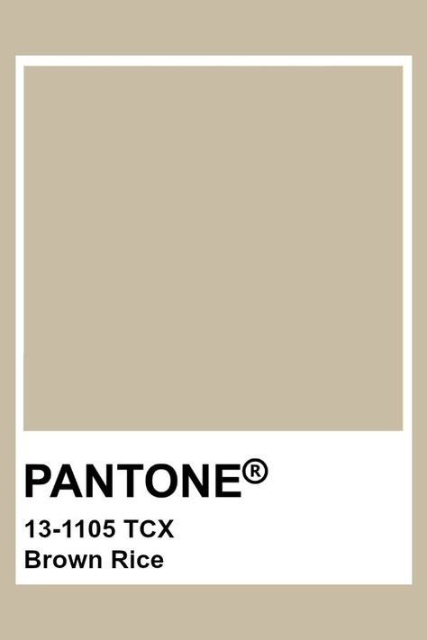 PANTONE 13-1105 TCX Brown Rice #pantone #color #neutral Pantone Neutral Colors, Pantone Colors Brown, Pantone Neutrals, Neutral Pantone, Pantone Brown, Beige Pantone, Brown Pantone, Beige Brown Color, Pantone Tcx