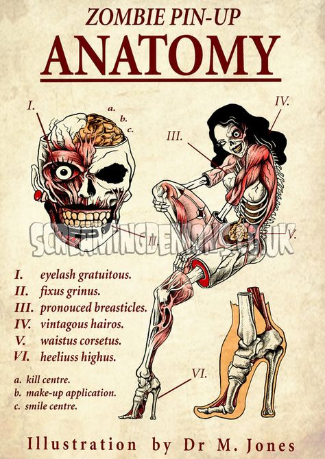 Pin-up Zombie Anatomy by ScreamingDemons, more skull inspirations and designs at skullspiration.com Zombie Pin Up, Arte Zombie, Zombie Art, Zombie Girl, Pin Up Tattoos, Psychobilly, Pin Up Art, Anatomy Art, Zombie Apocalypse