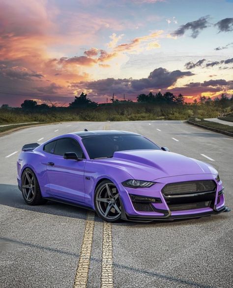 Mustang Purple, Purple Cars, Purple Mustang, Future Painting, Purple Car, Luxurious Cars, Mustang Cobra, Car Inspiration, Ford Mustang Shelby