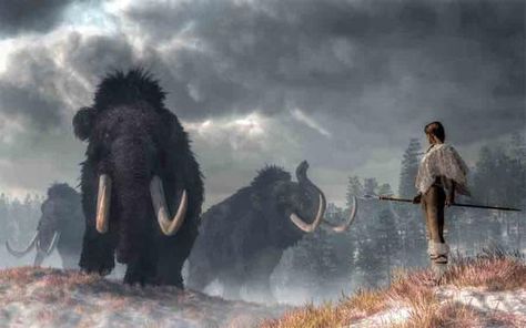 Could the Mount Holly mammoth analysis mean that humans and woolly mammoths coexisted in the Northeastern United States? (Daniel / Adobe Stock) Prehistoric Man, Early Humans, Prehistoric World, Wooly Mammoth, Ancient Animals, Prehistoric Art, Extinct Animals, Prehistoric Creatures, Ice Age