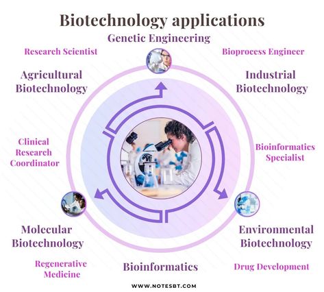 📌 Biotechnology Scope and Career - Applications 👩‍🔬 🔬 Biotechnology Overview: 🔍 Research Areas: 💼 Career Opportunities: 🧬 Medical Biotech Advancements: Check out website NOTESBT #biotechnology #biotechnologist #fypシ #fypppp #lab Biotechnology Poster, Medical Biotechnology, Biotechnology Careers, Genetic Engineering, Research Scientist, Biotechnology, Career Opportunities, Personal Development, Medicine