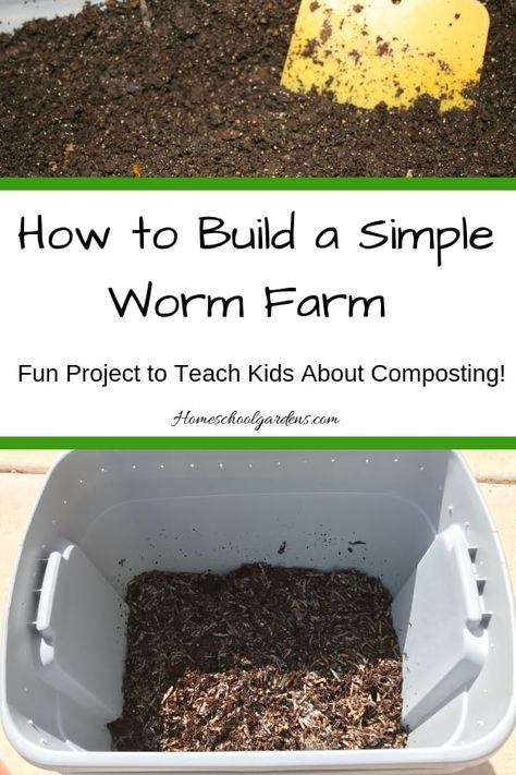 Earthworm Farm, Red Worm Composting, Worm Farm Diy, Worm Beds, Worm Composting Bin, Red Wiggler Worms, Composting Bin, How To Compost, Compost Bin Diy