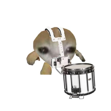 Monkey Playing Drums, Bass Drum Marching Band, Packing Meme, Marching Band Quotes, Marching Drum, Marching Snare, Drum Band, Band Jokes, Band Quotes