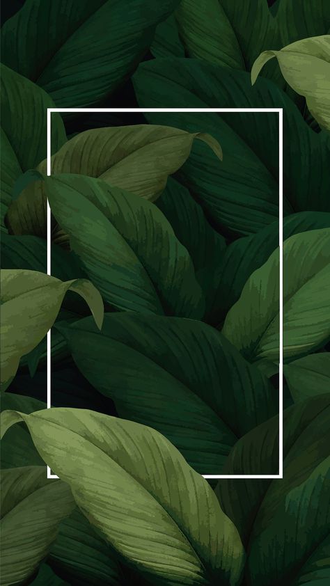 Green Leaf Wallpaper, Instagram Pattern, Bg Design, Tropical Background, Tropical Leaves Pattern, Vintage Logo Design, Tropical Foliage, Leaf Background, Brand Shop