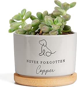 SUCCULENTSBOX Never Forgtten Dog Memorial Gifts Plant Pot -Sympathy Gifts for Dog Cat Loss,Pet Passing Away Gifts - Pet Memorial Planter Pot with Bamboo Tray,Custom Succulent Plant Pot Gift For Pet Loss, Dog Died Gift, Pet Loss Gift Basket, Dog Memorial Planter, Pet Passing, Dog Memorial Gifts, Pet Bereavement Gifts, Cat Loss, Bamboo Tray