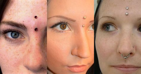 Third Eye Piercing, Bridge Piercing, Septum Piercing Jewelry, Eye Piercing, Cool Piercings, Lip Piercing, Septum Piercing, Body Modifications, Married Woman